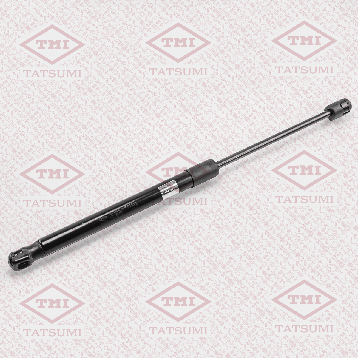 Trunk shock absorber