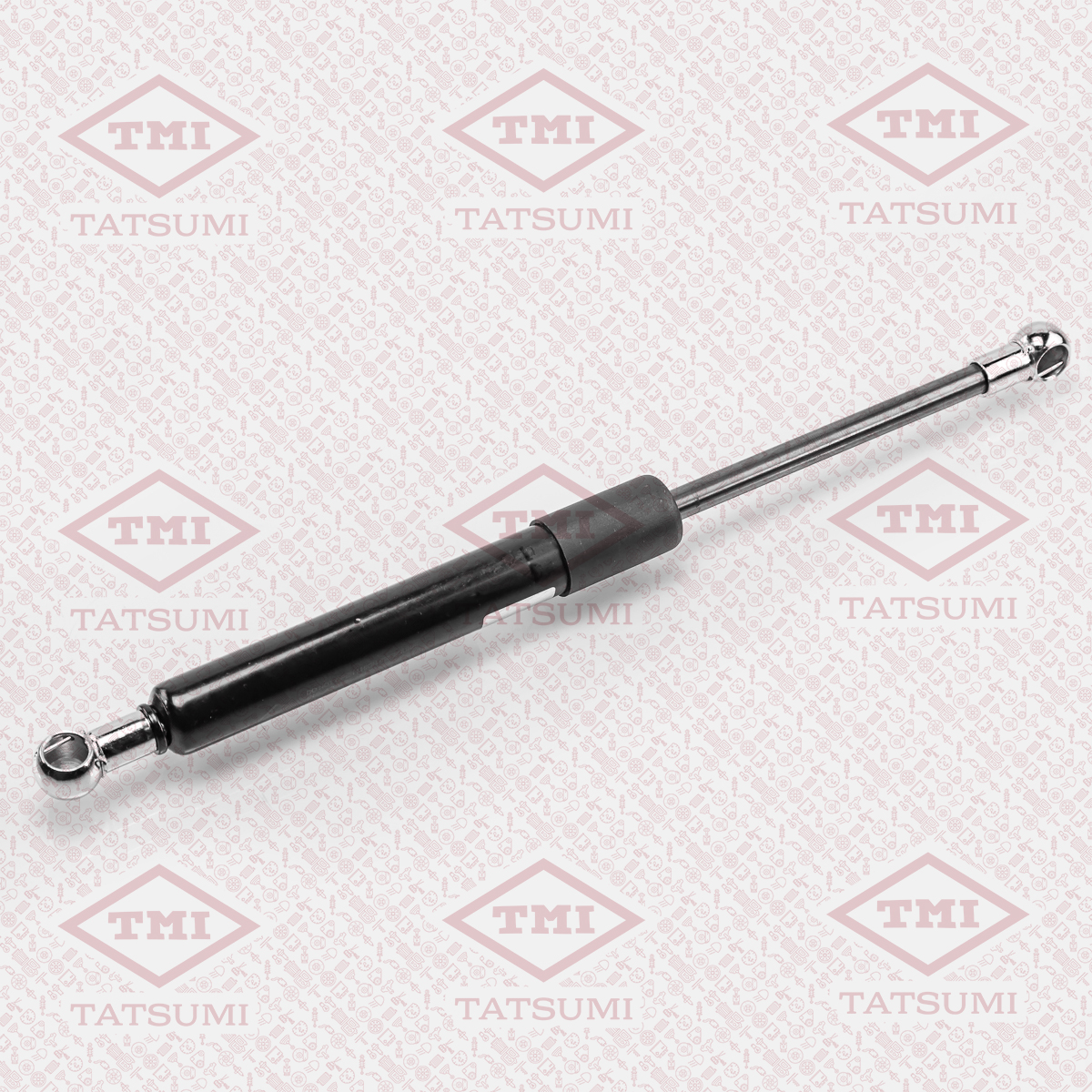 Trunk shock absorber