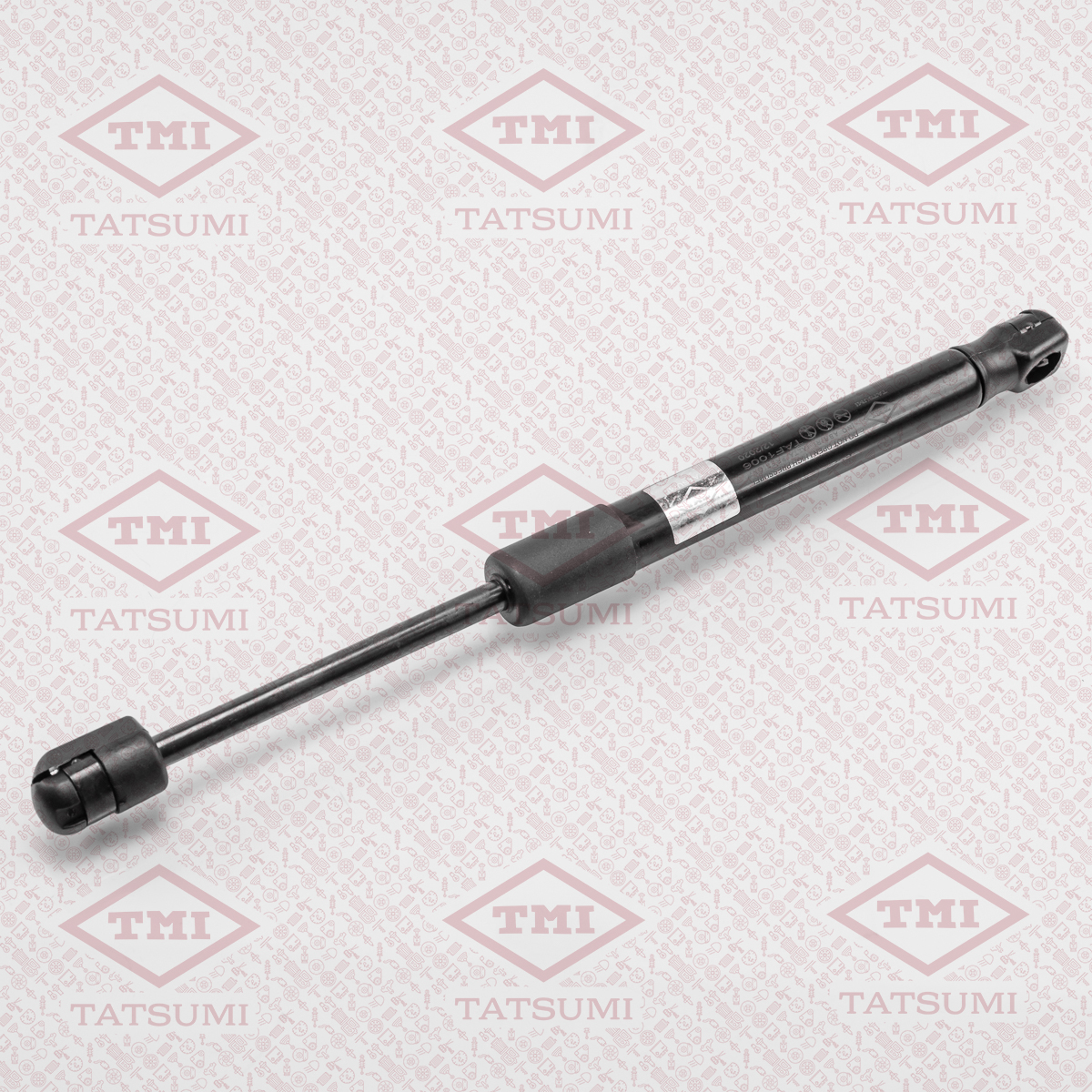 Trunk shock absorber