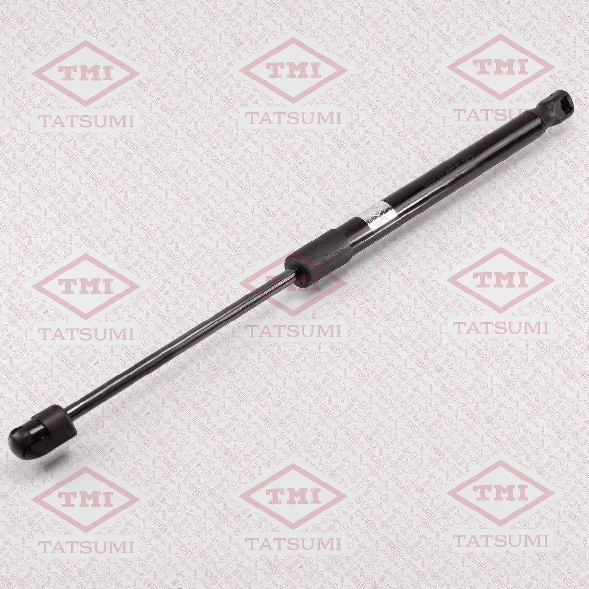 Trunk shock absorber