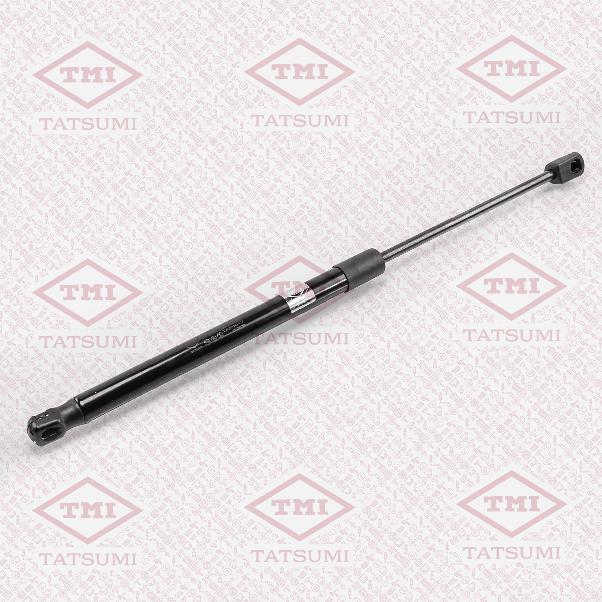 Trunk shock absorber