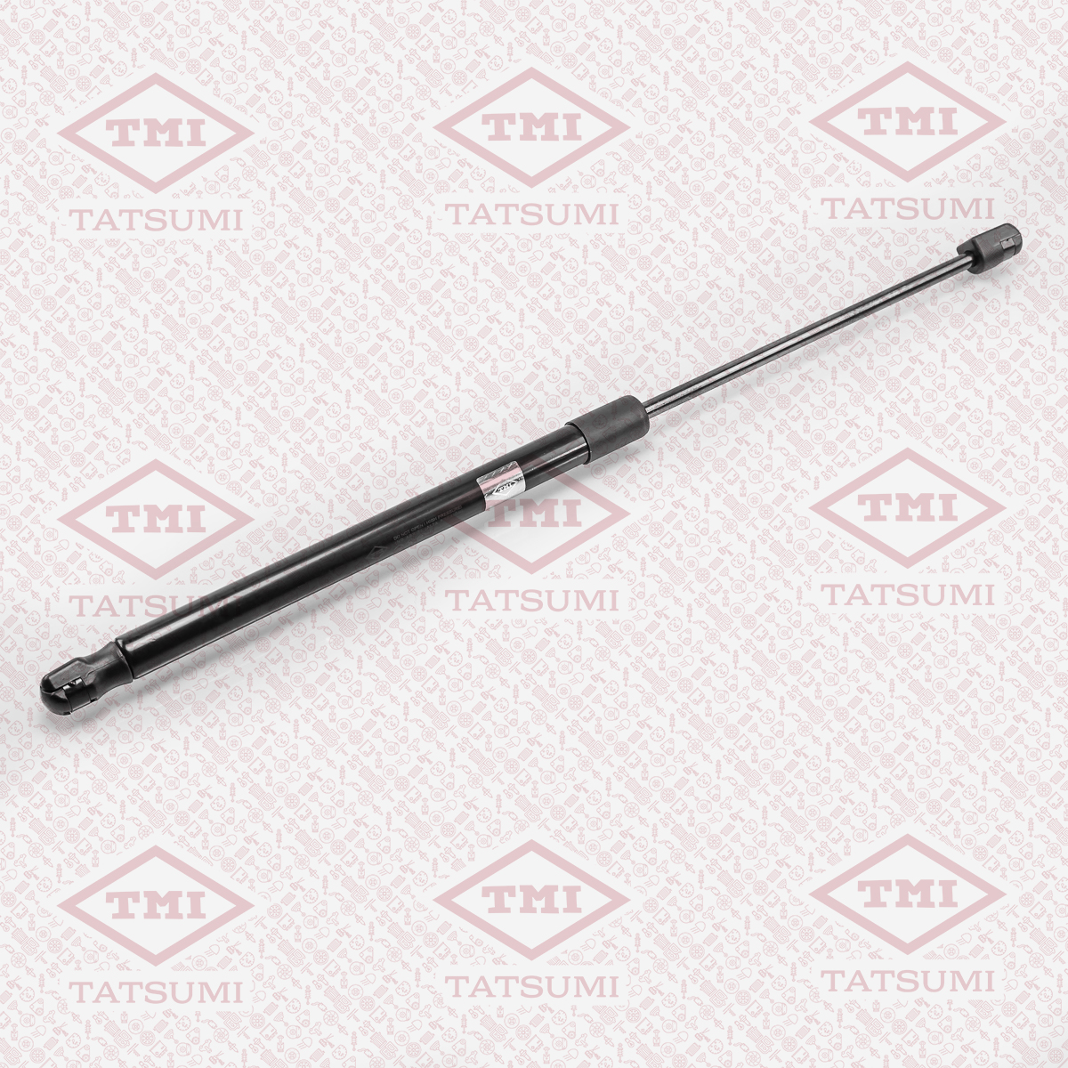 Trunk shock absorber