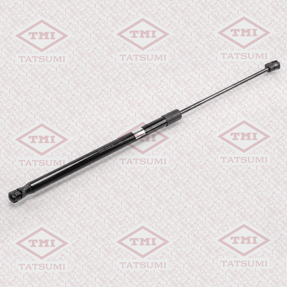 Trunk shock absorber