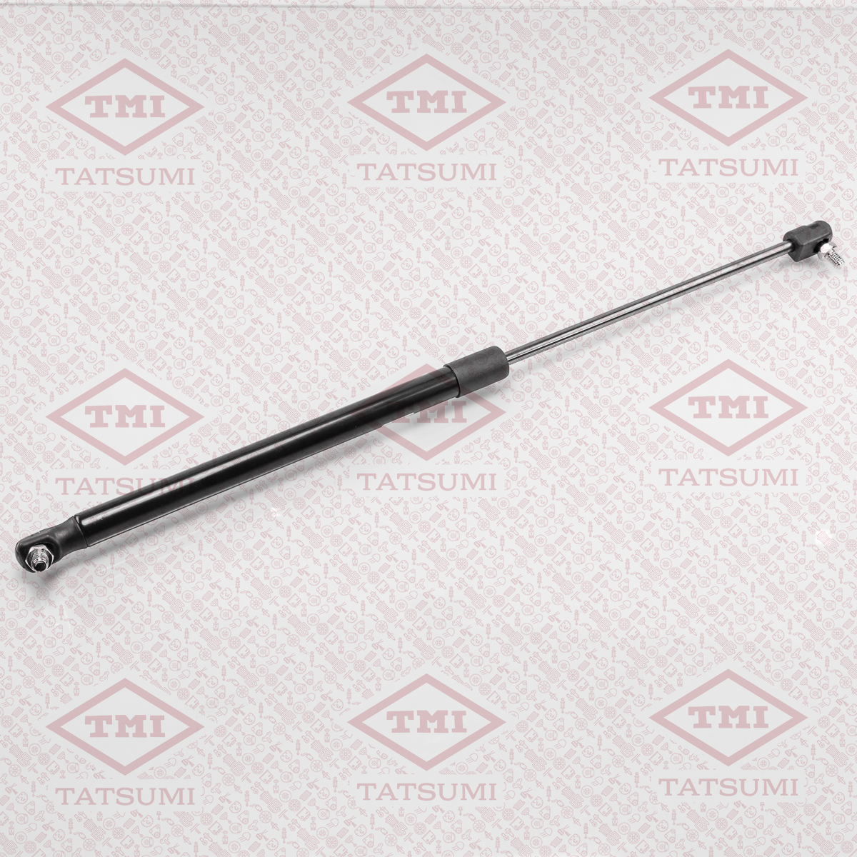 Trunk shock absorber