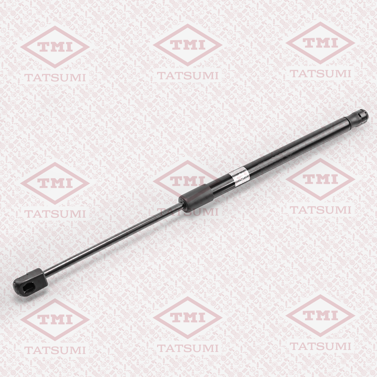 Trunk shock absorber