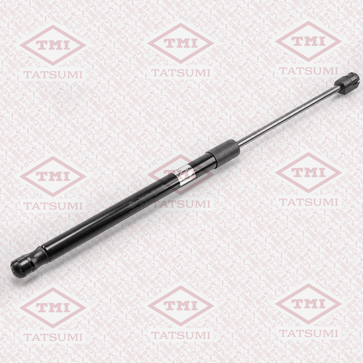 Trunk shock absorber