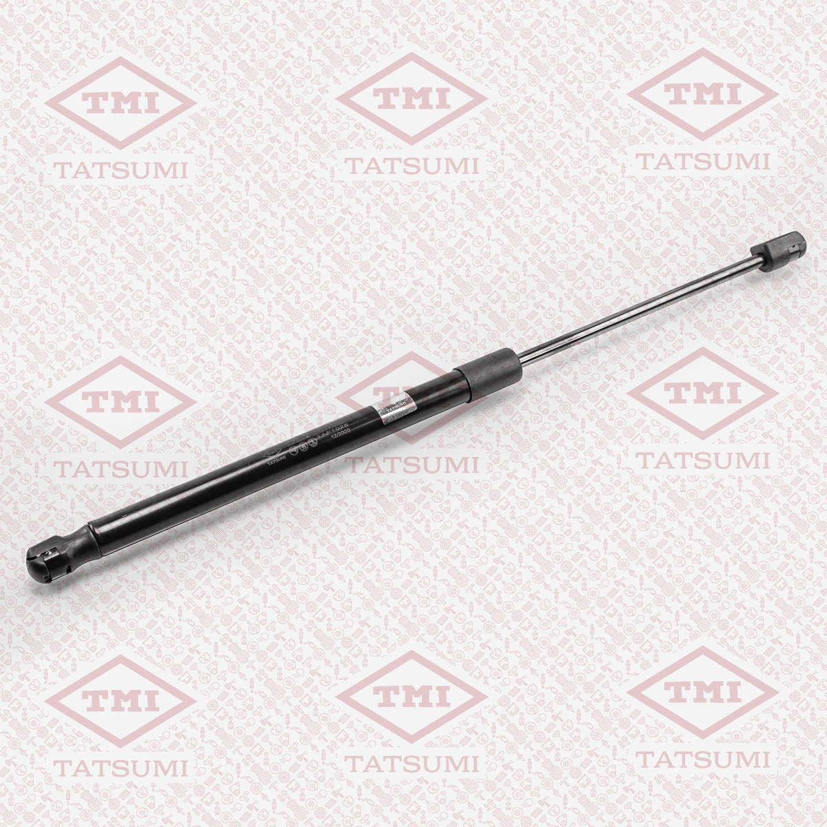 Trunk shock absorber