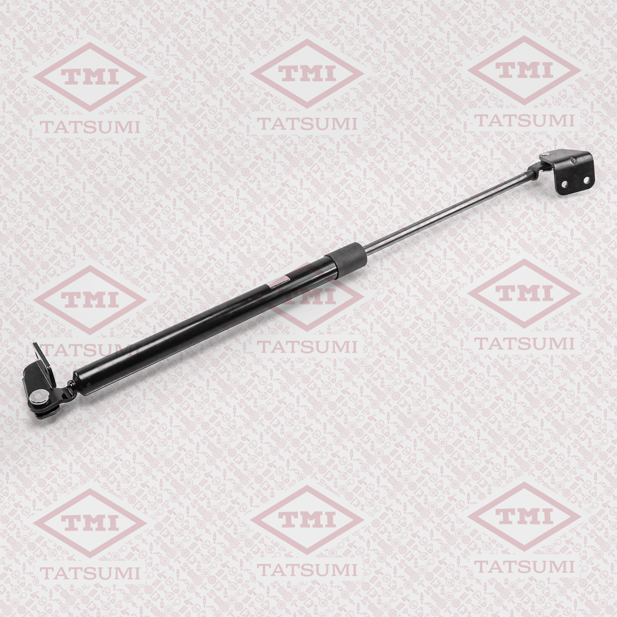 Trunk shock absorber