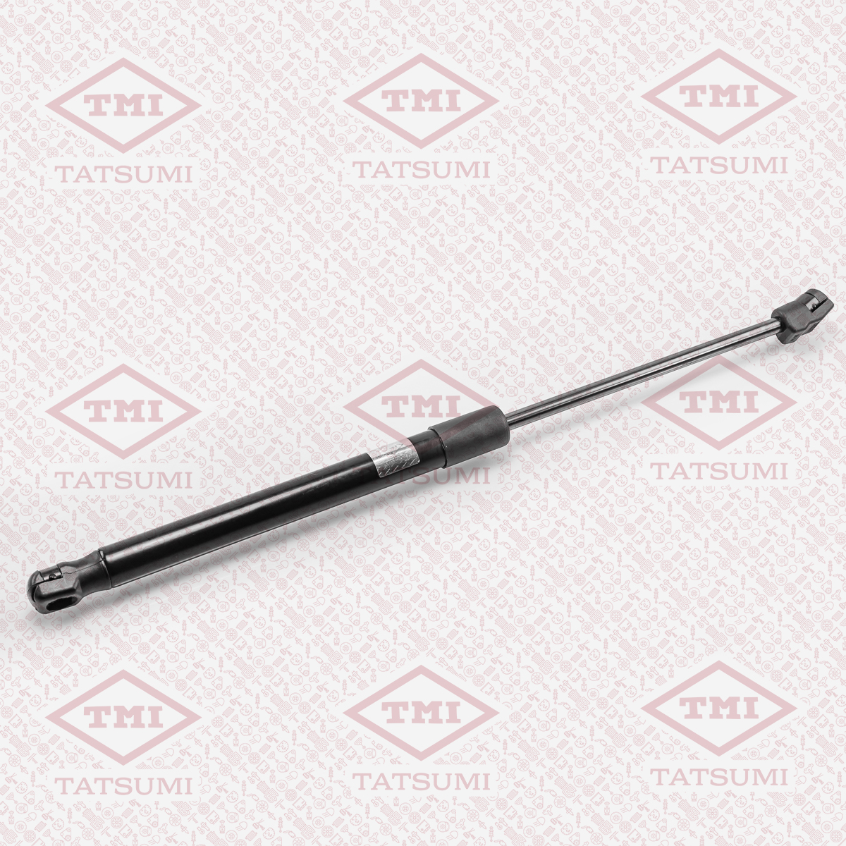 Trunk shock absorber