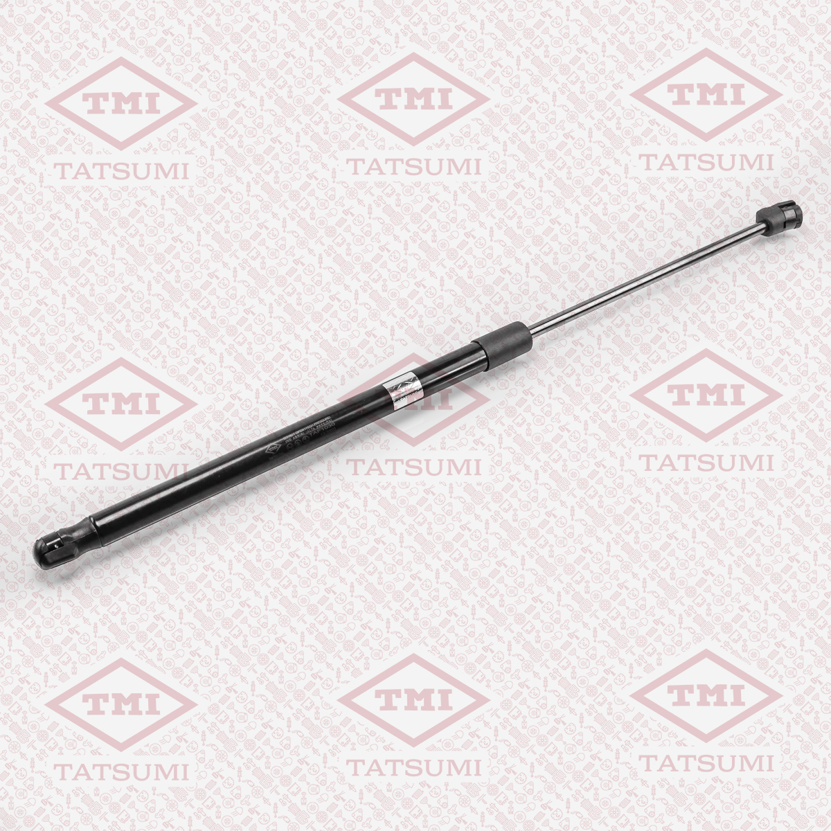 Trunk shock absorber