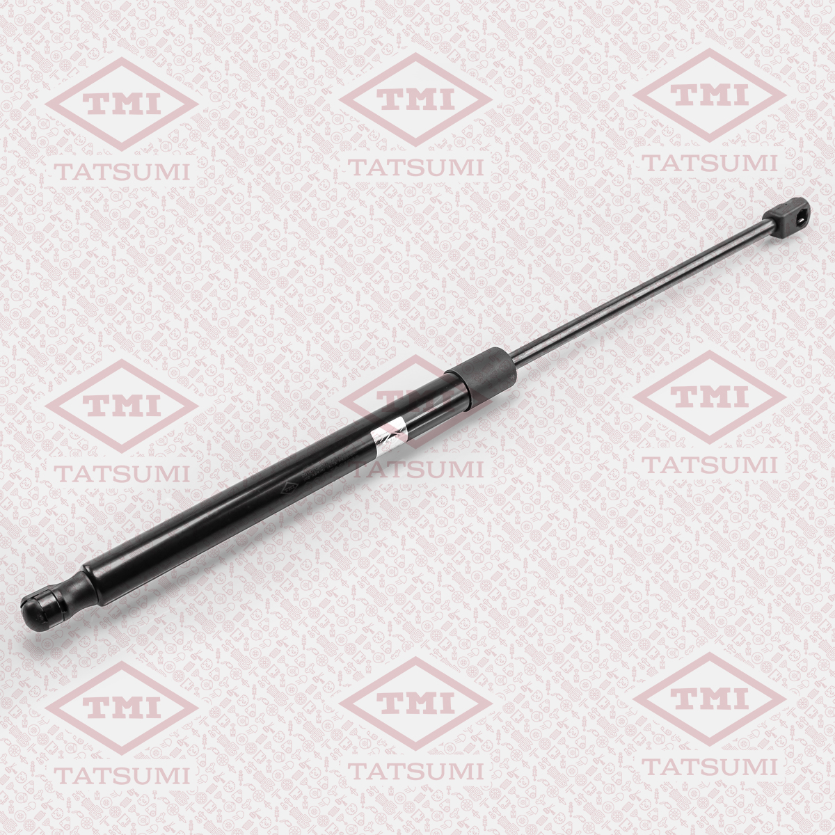 Trunk shock absorber