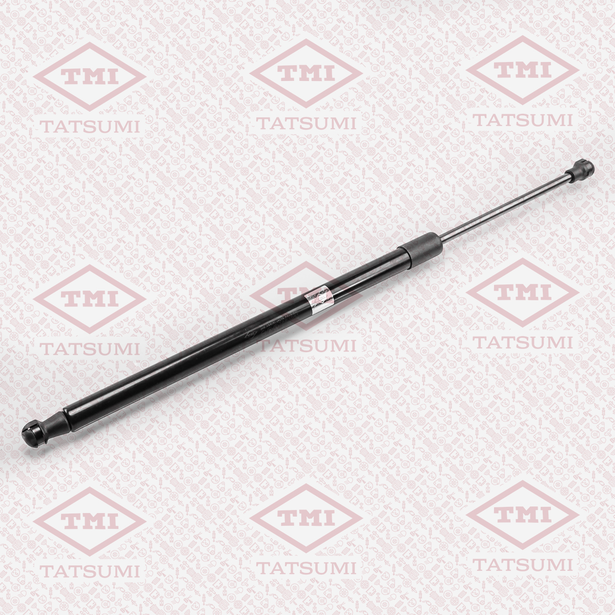 Trunk shock absorber