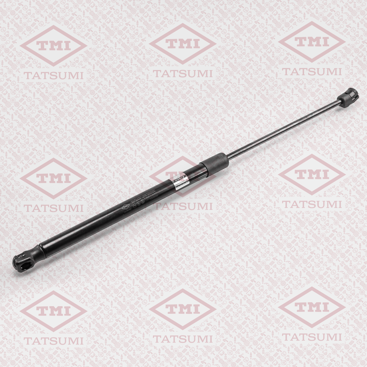 Trunk shock absorber