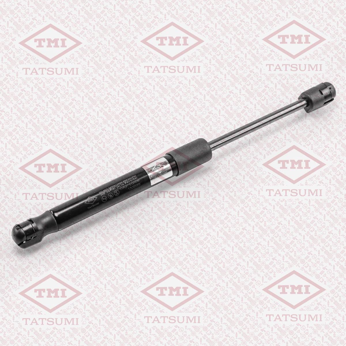 Trunk shock absorber