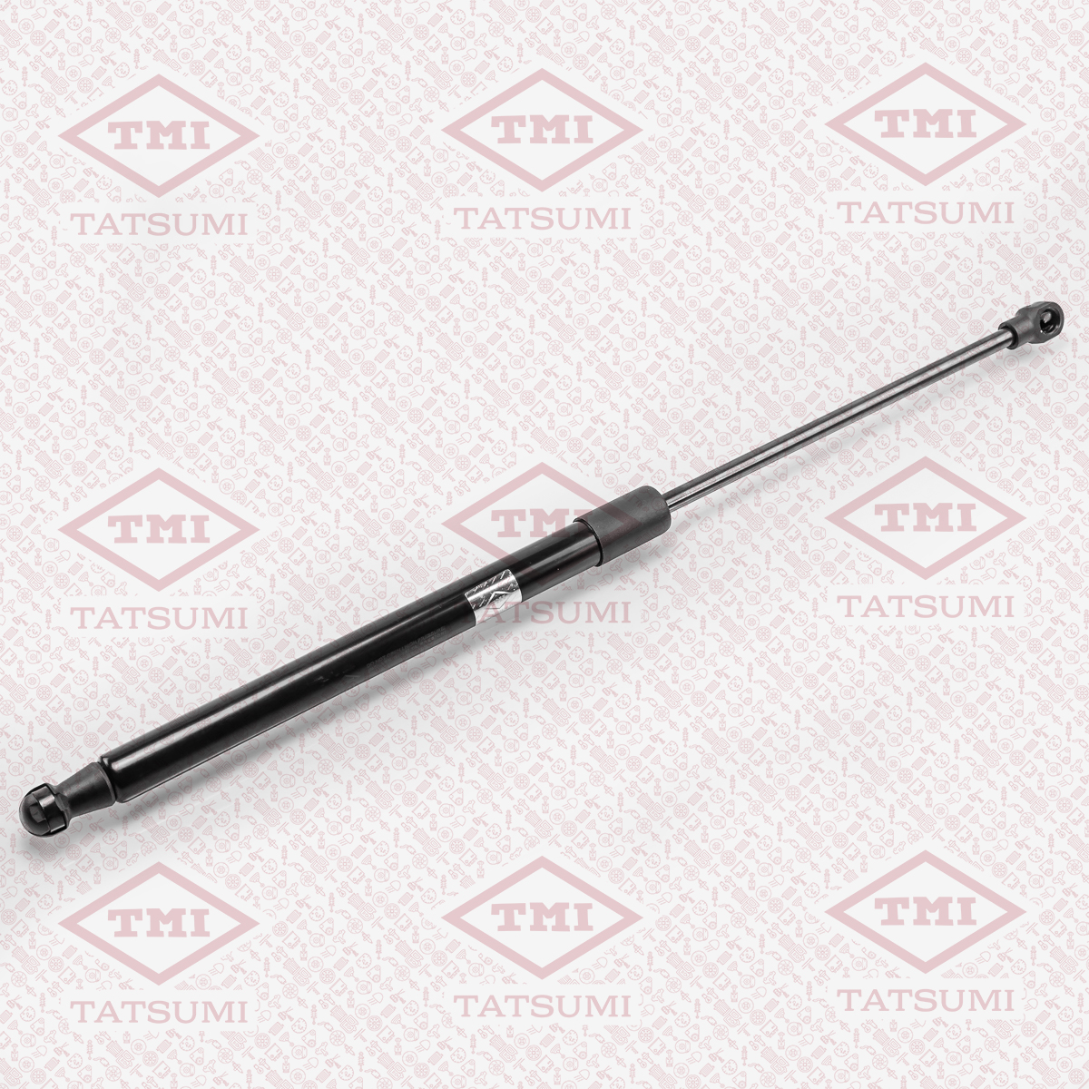 Trunk shock absorber