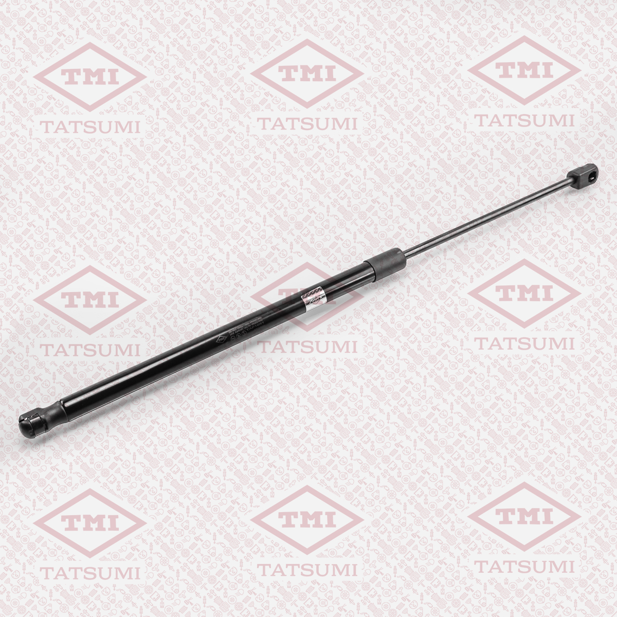 Trunk shock absorber