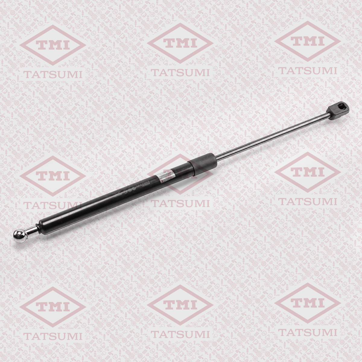 Trunk shock absorber