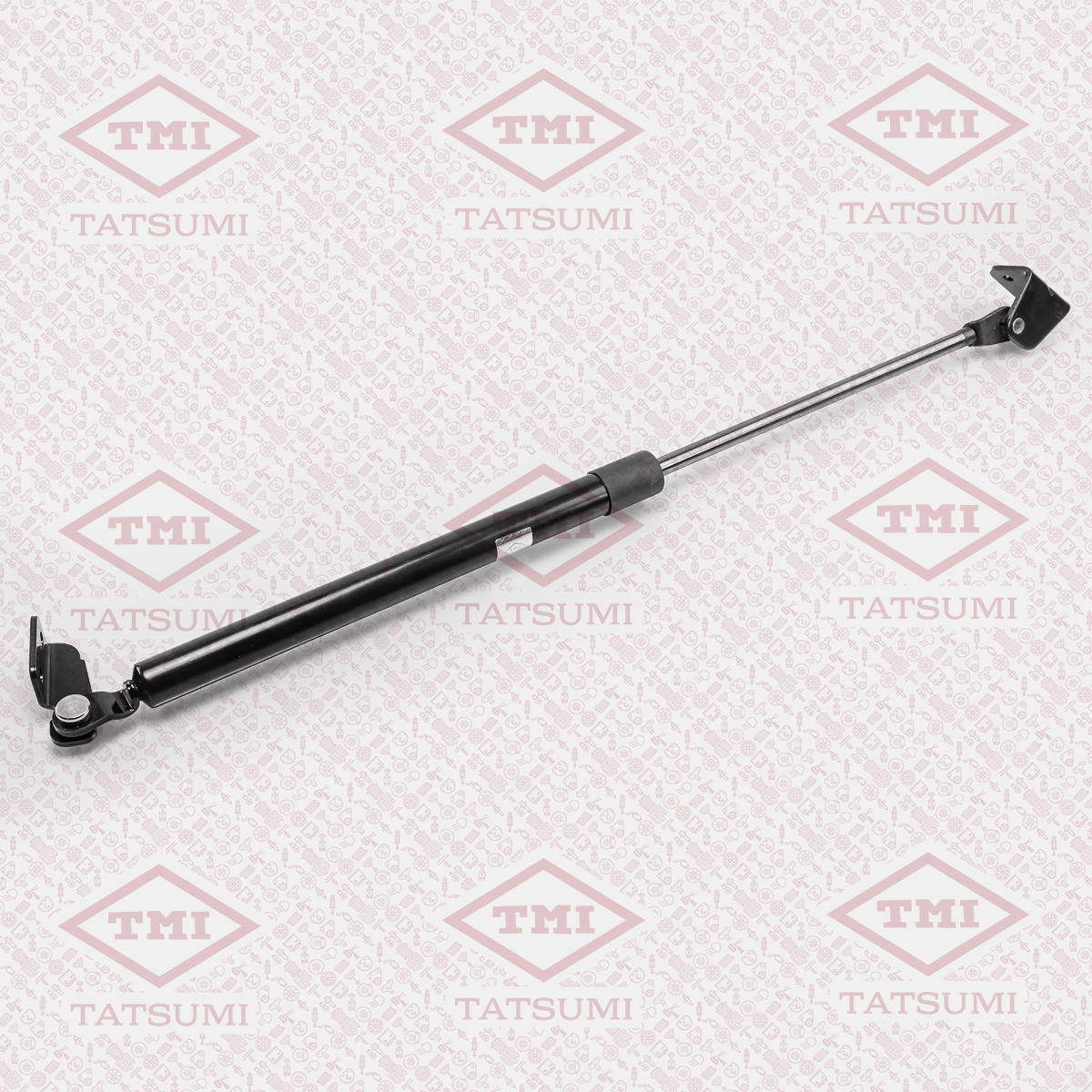 Trunk shock absorber