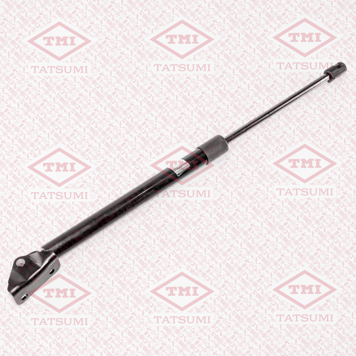 Trunk shock absorber