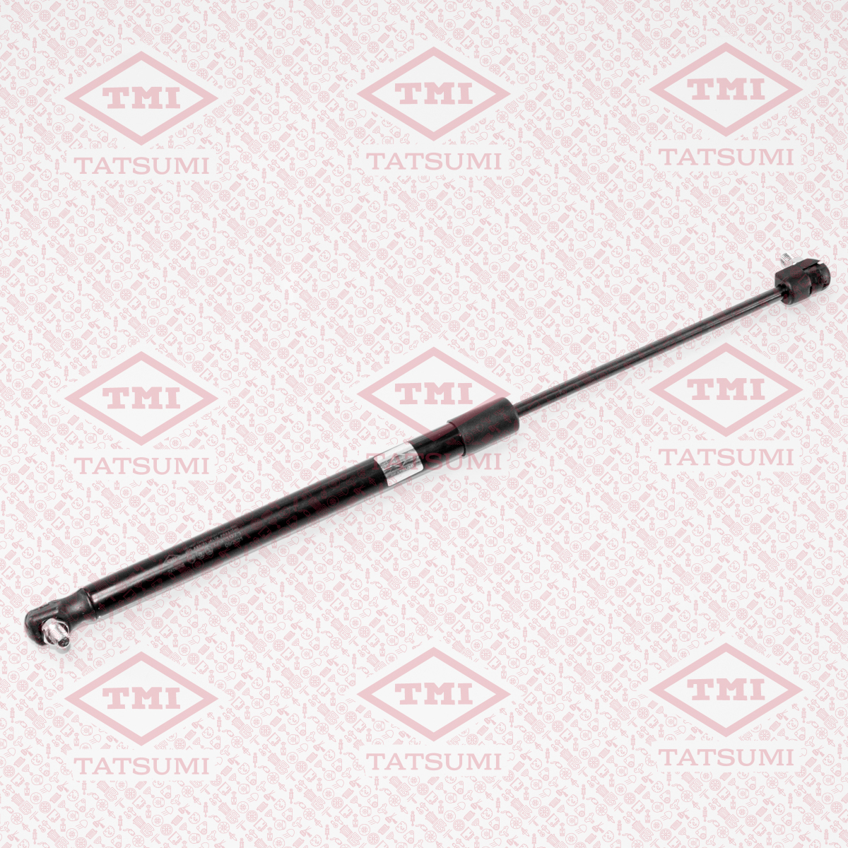 Trunk shock absorber