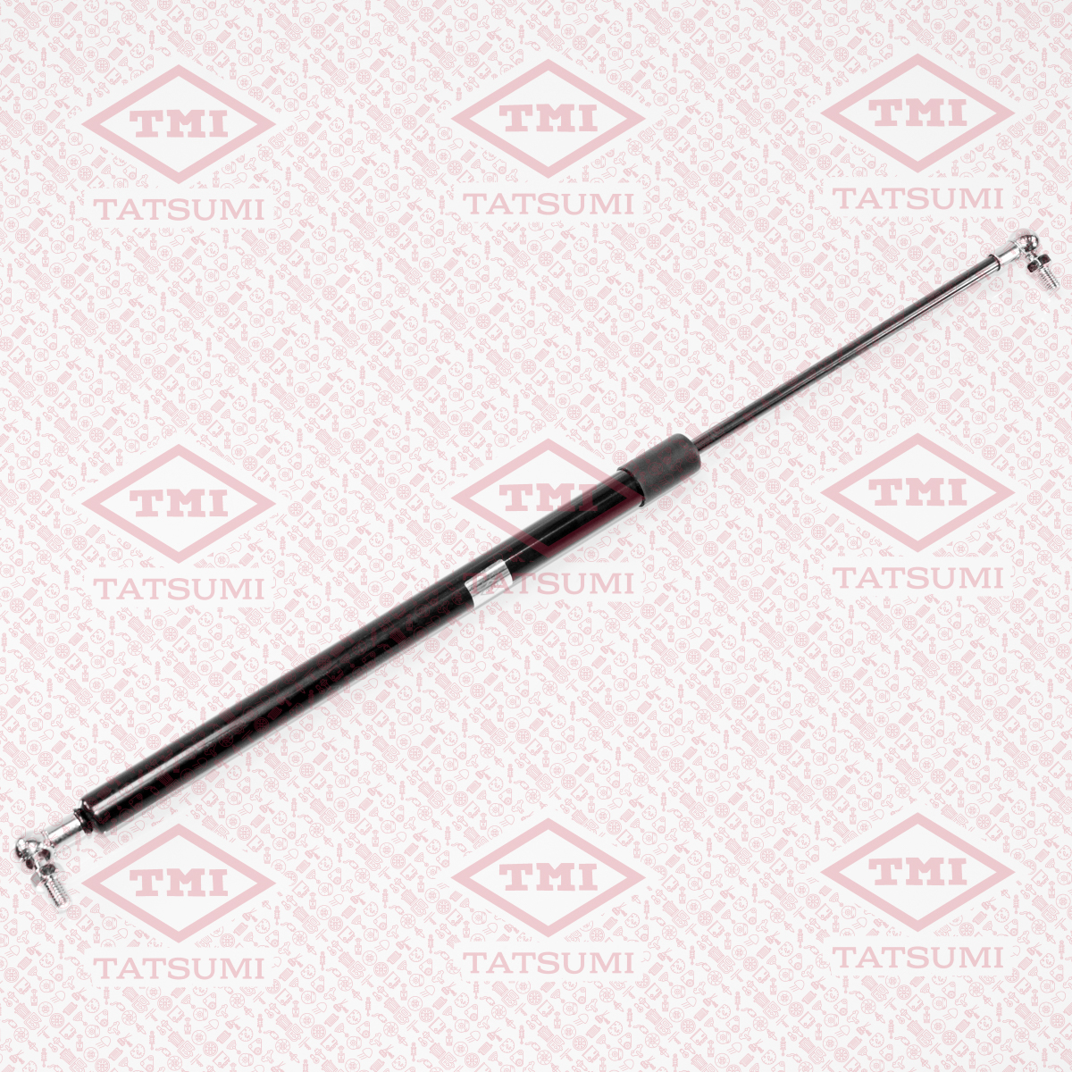 Trunk shock absorber