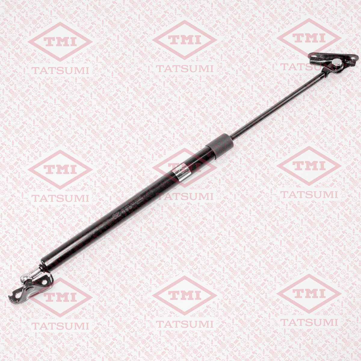 Trunk shock absorber