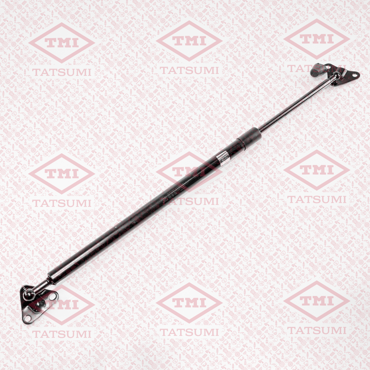 Trunk shock absorber