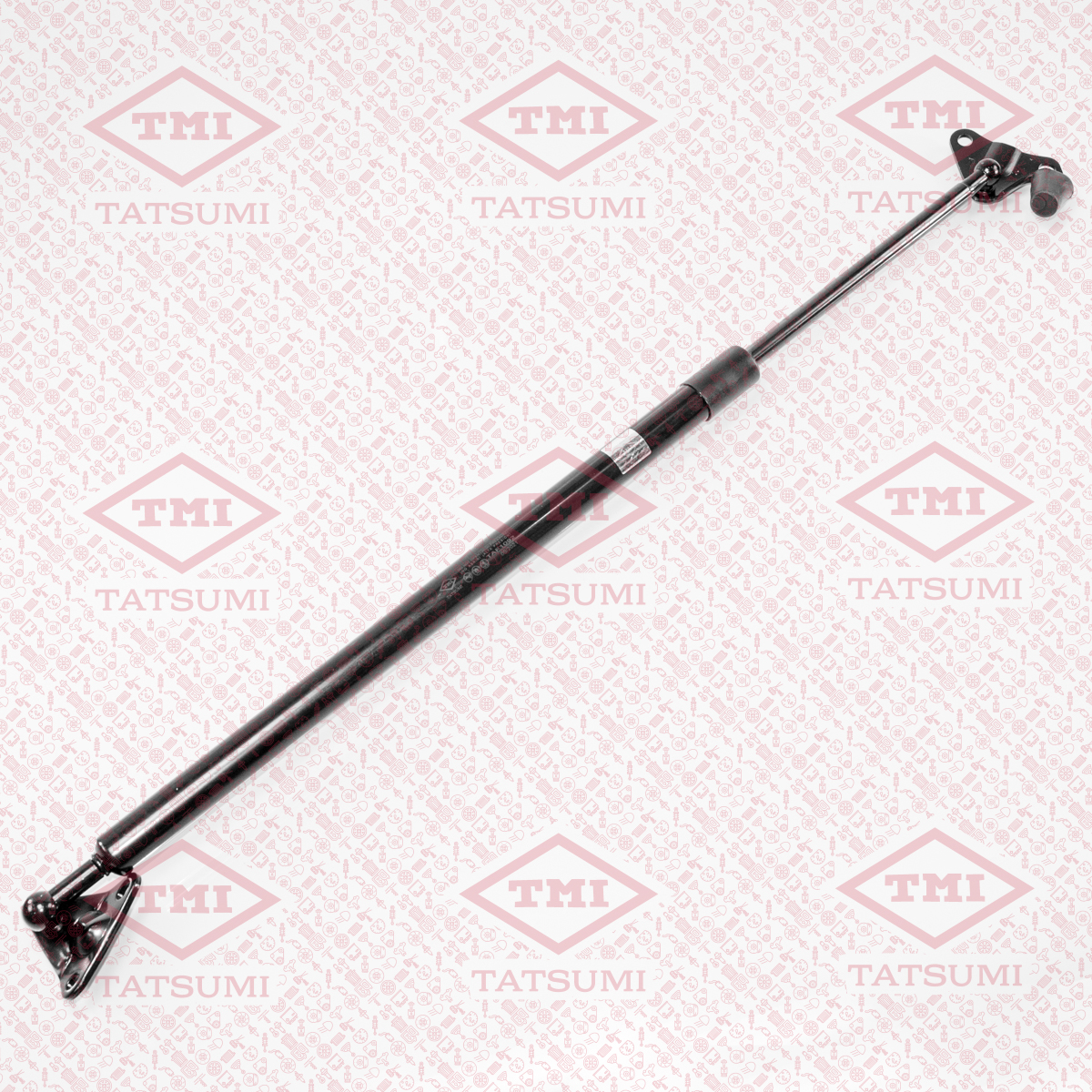 Trunk shock absorber