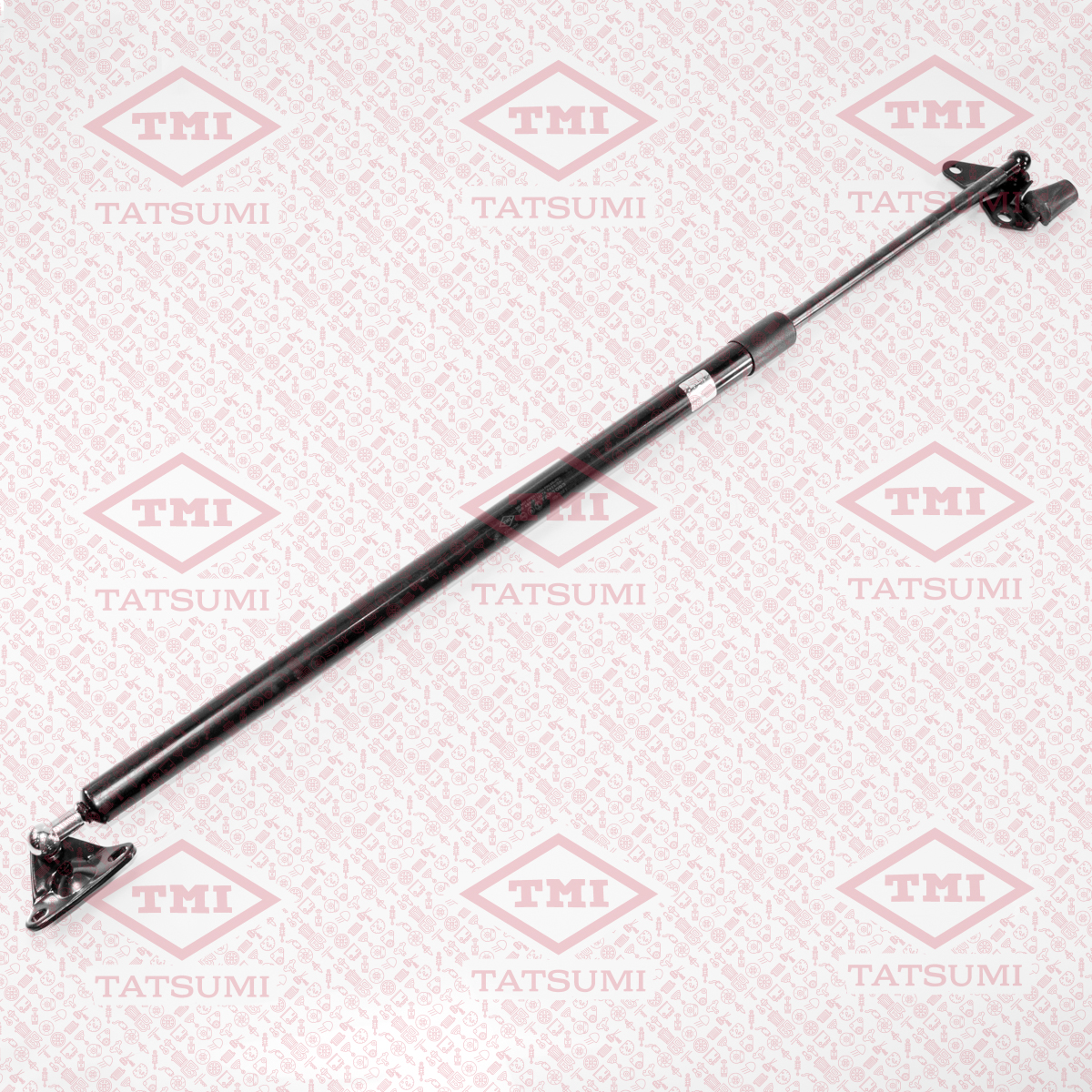 Trunk shock absorber