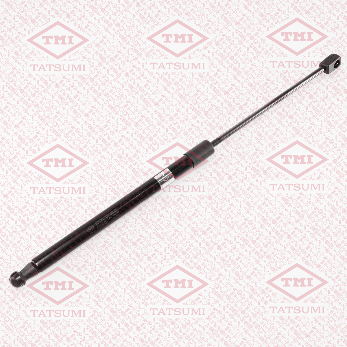 Trunk shock absorber