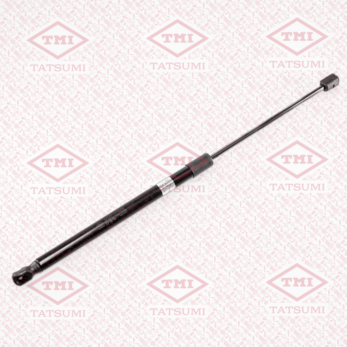 Trunk shock absorber