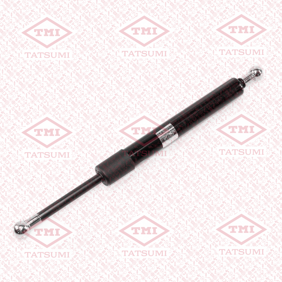 Trunk shock absorber