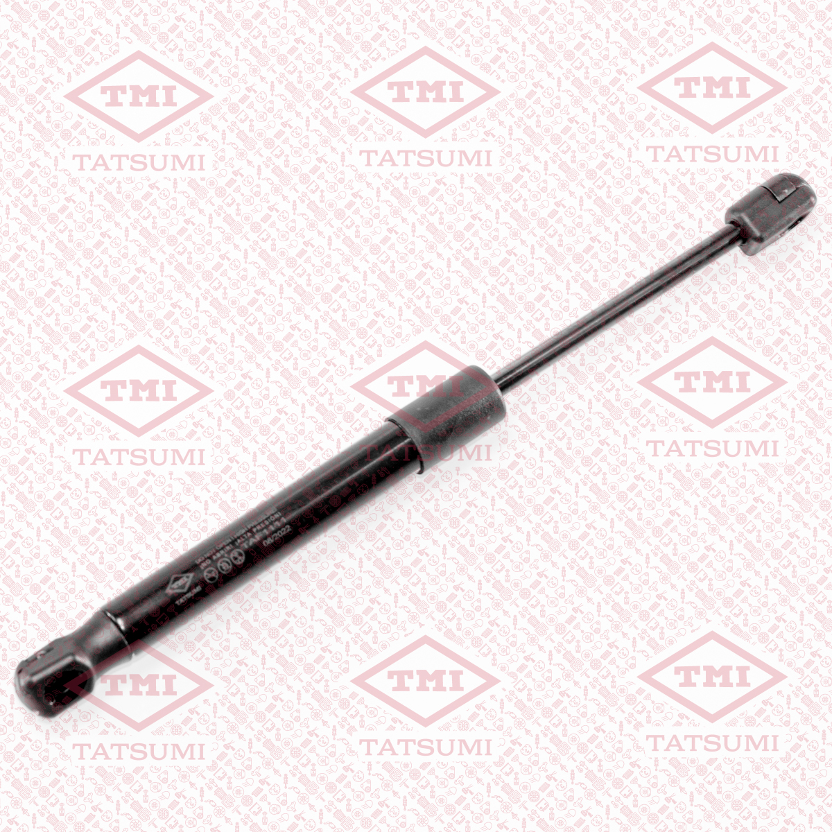 Trunk shock absorber