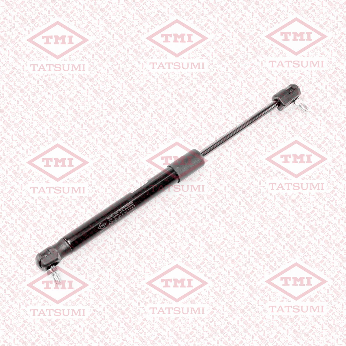 Trunk shock absorber