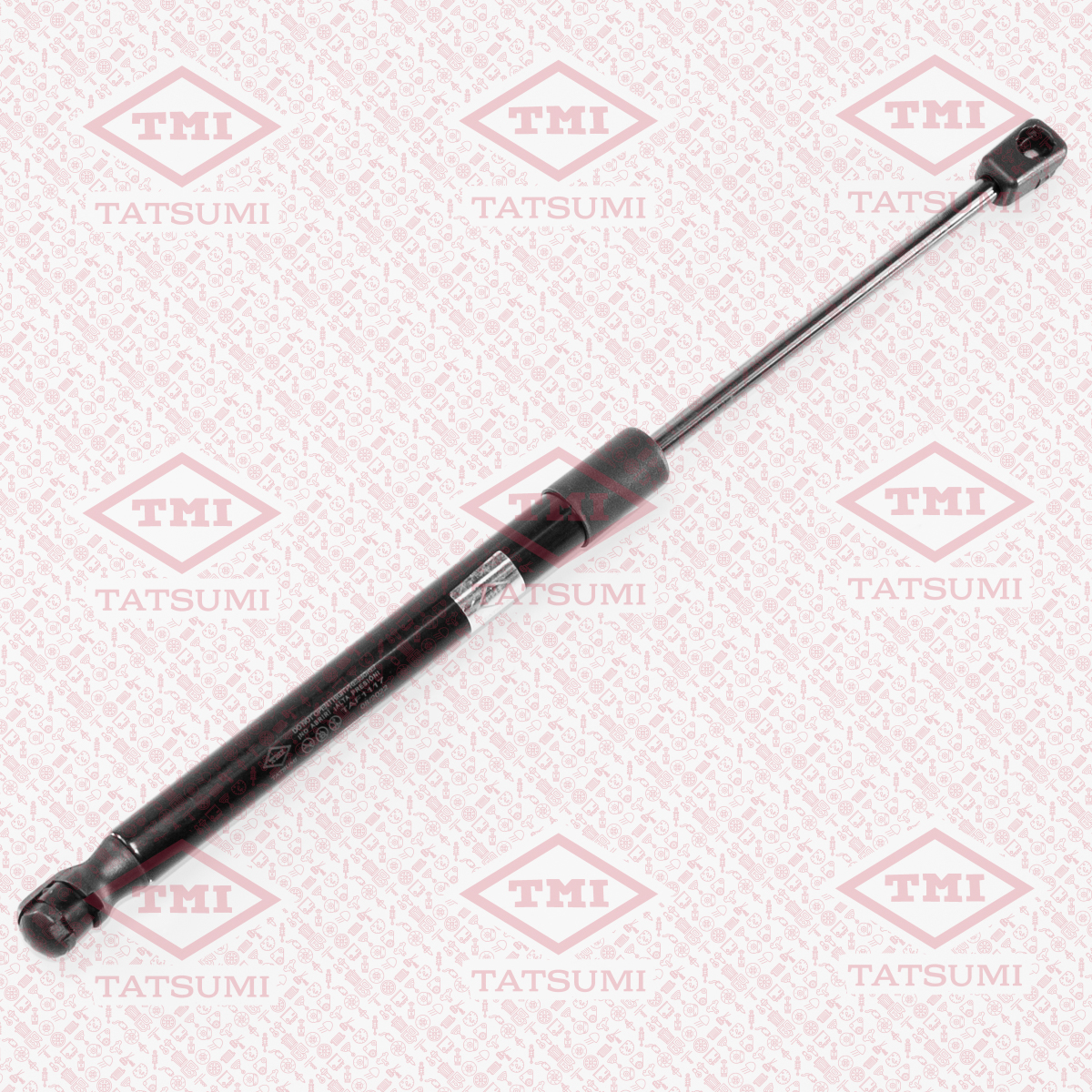 Trunk shock absorber