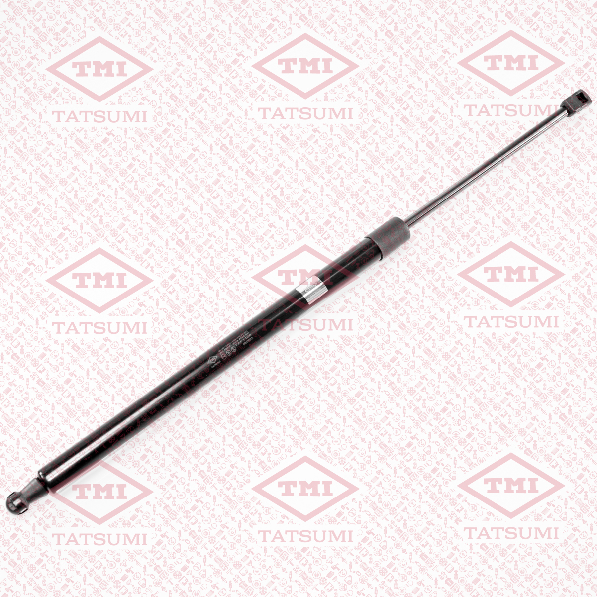 Trunk shock absorber