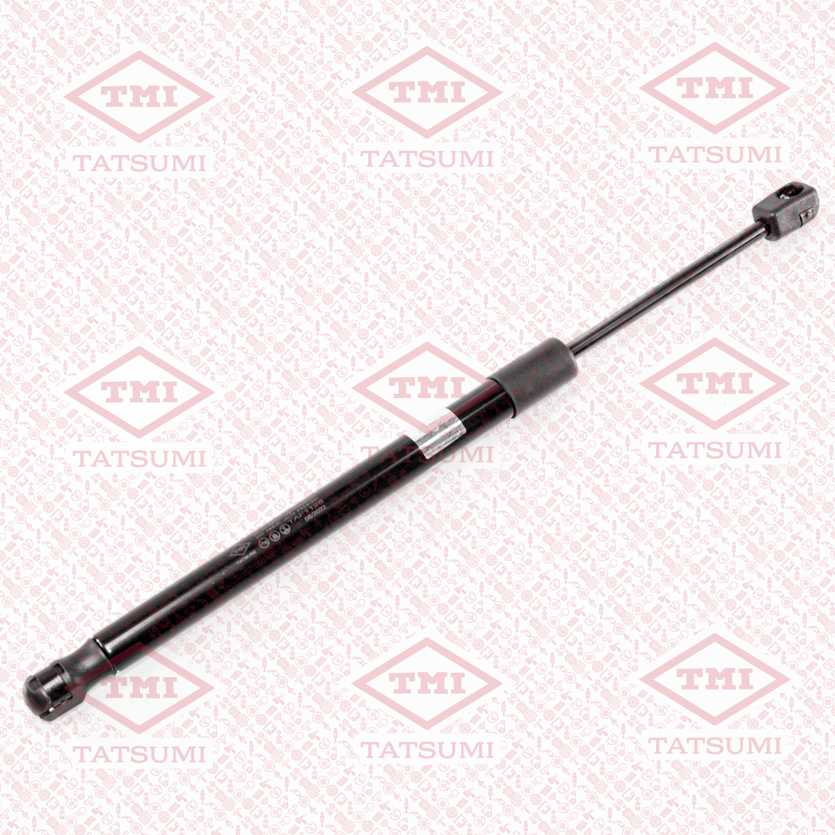 Trunk shock absorber