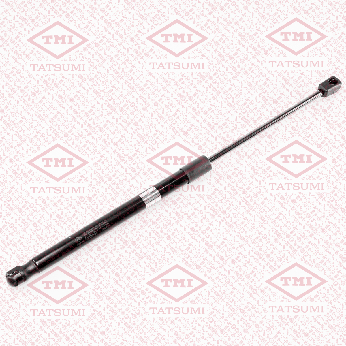 Trunk shock absorber