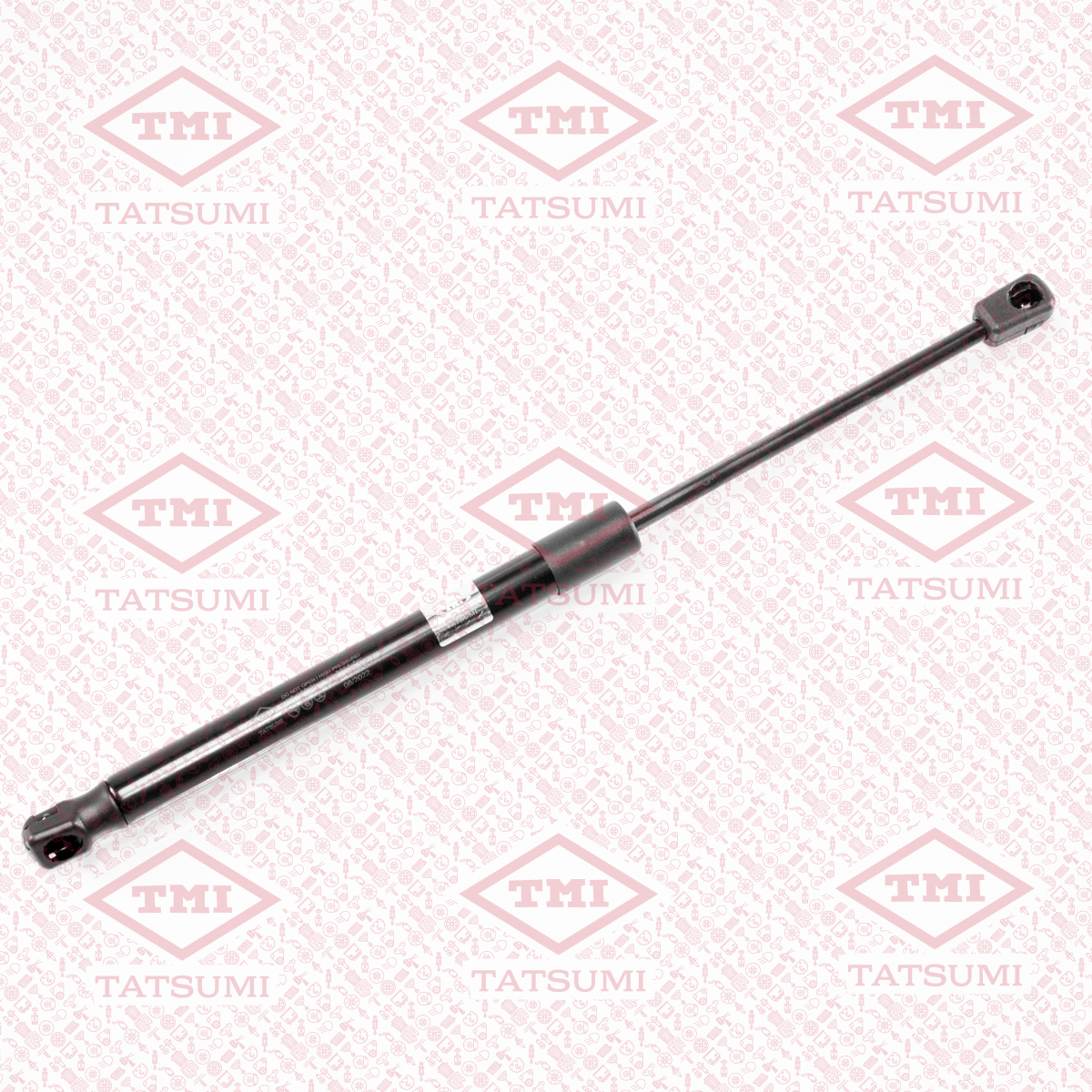 Trunk shock absorber