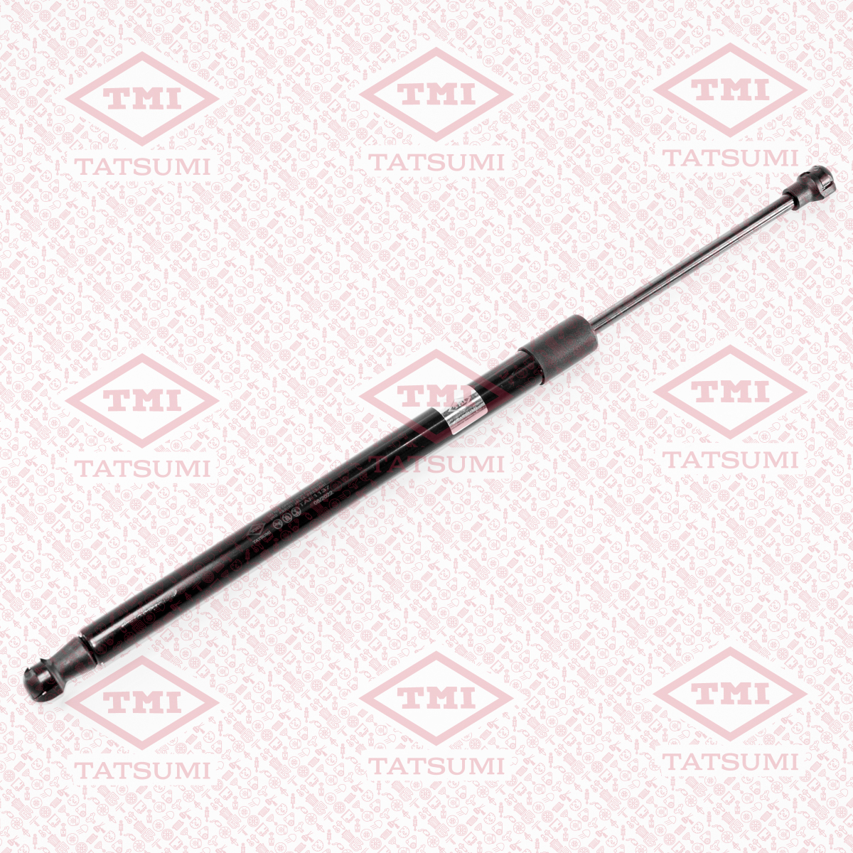 Trunk shock absorber