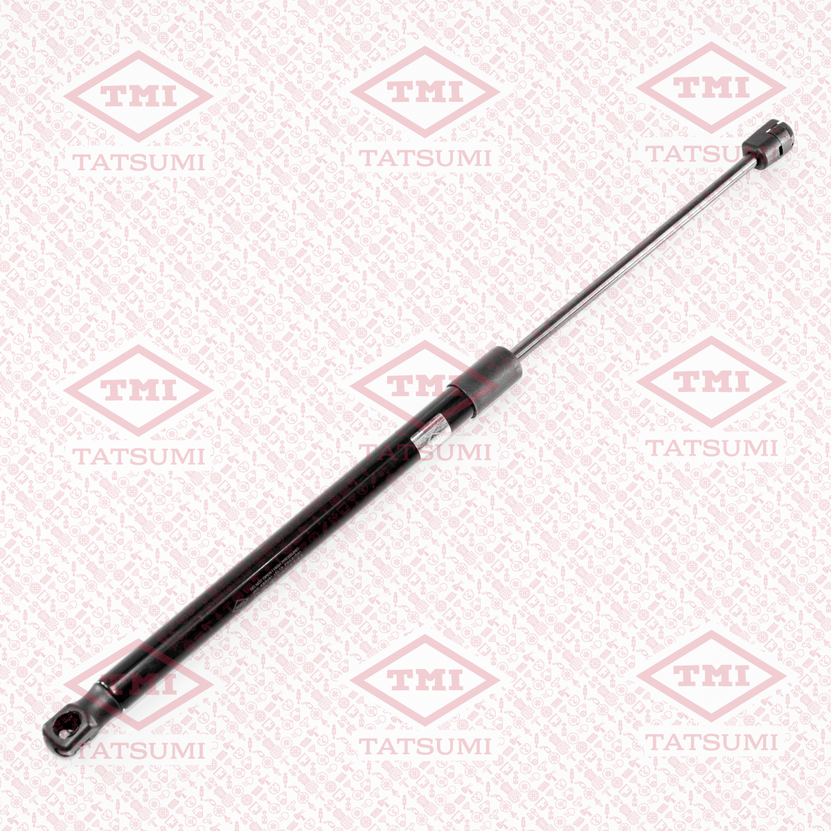 Trunk shock absorber