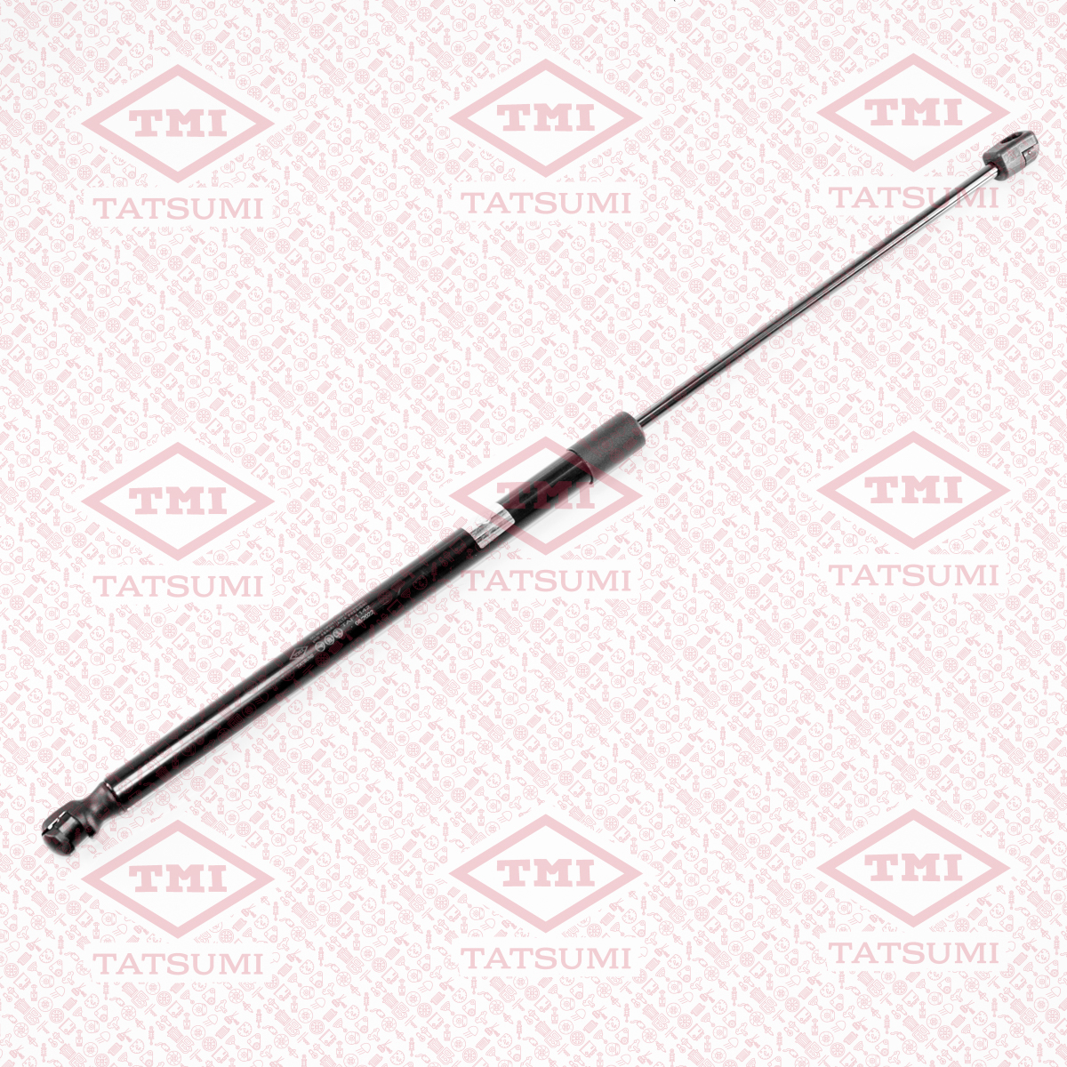 Trunk shock absorber