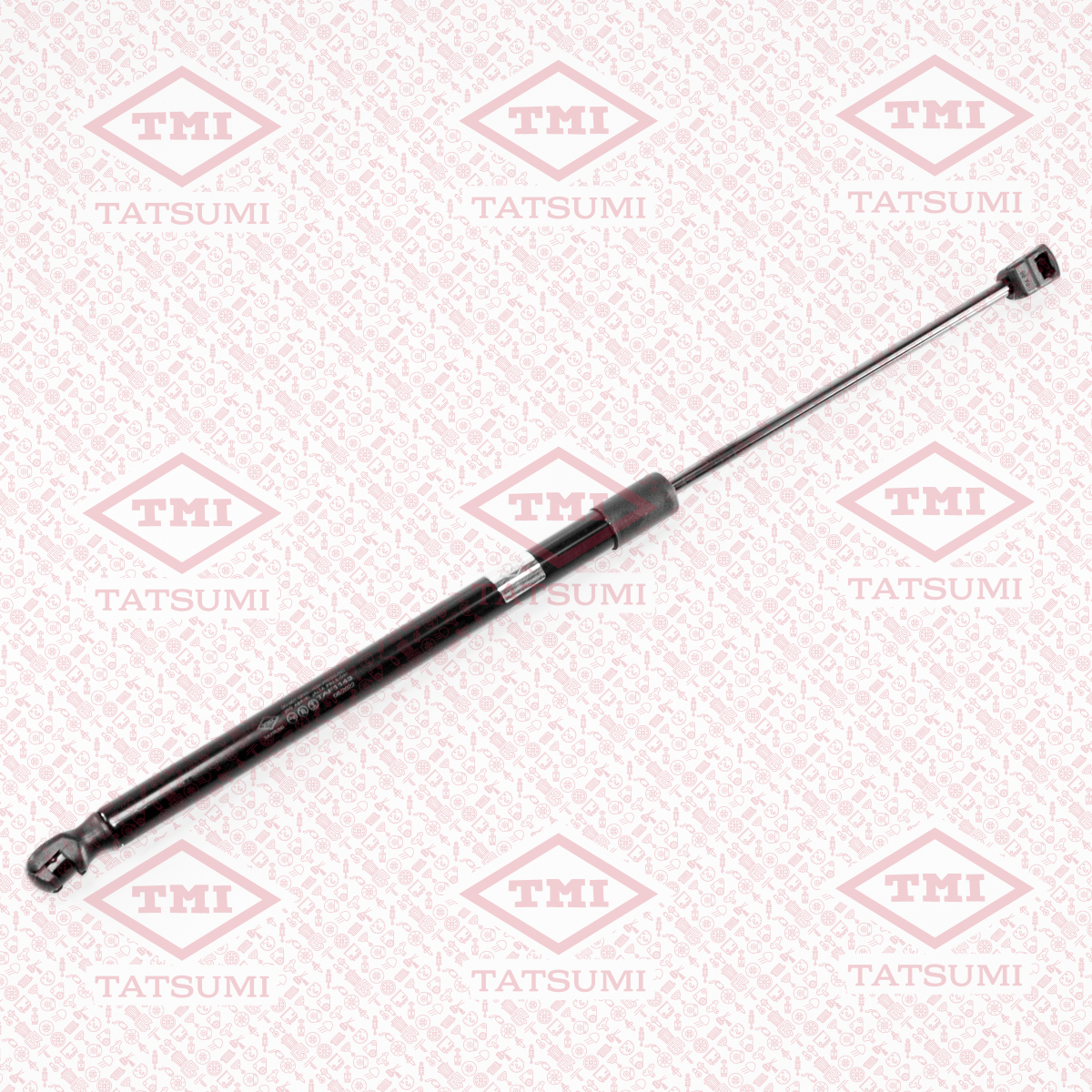 Trunk shock absorber