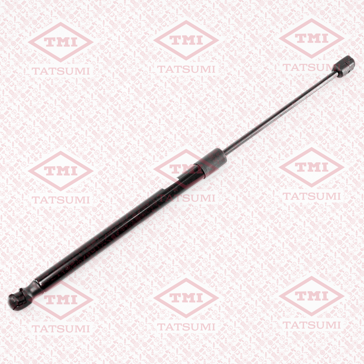 Trunk shock absorber