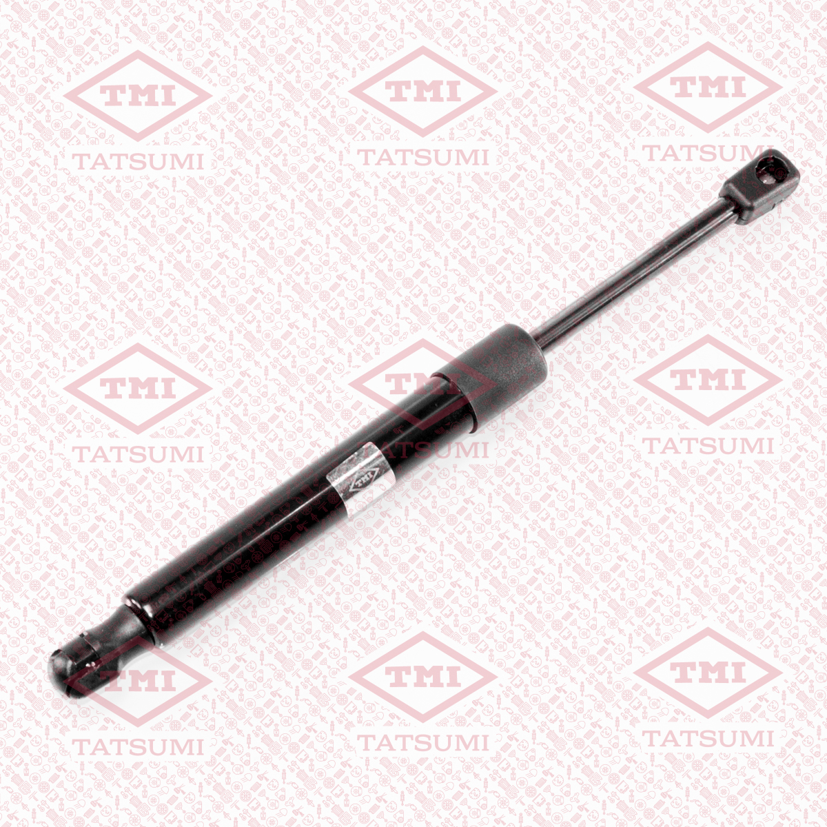 Trunk shock absorber