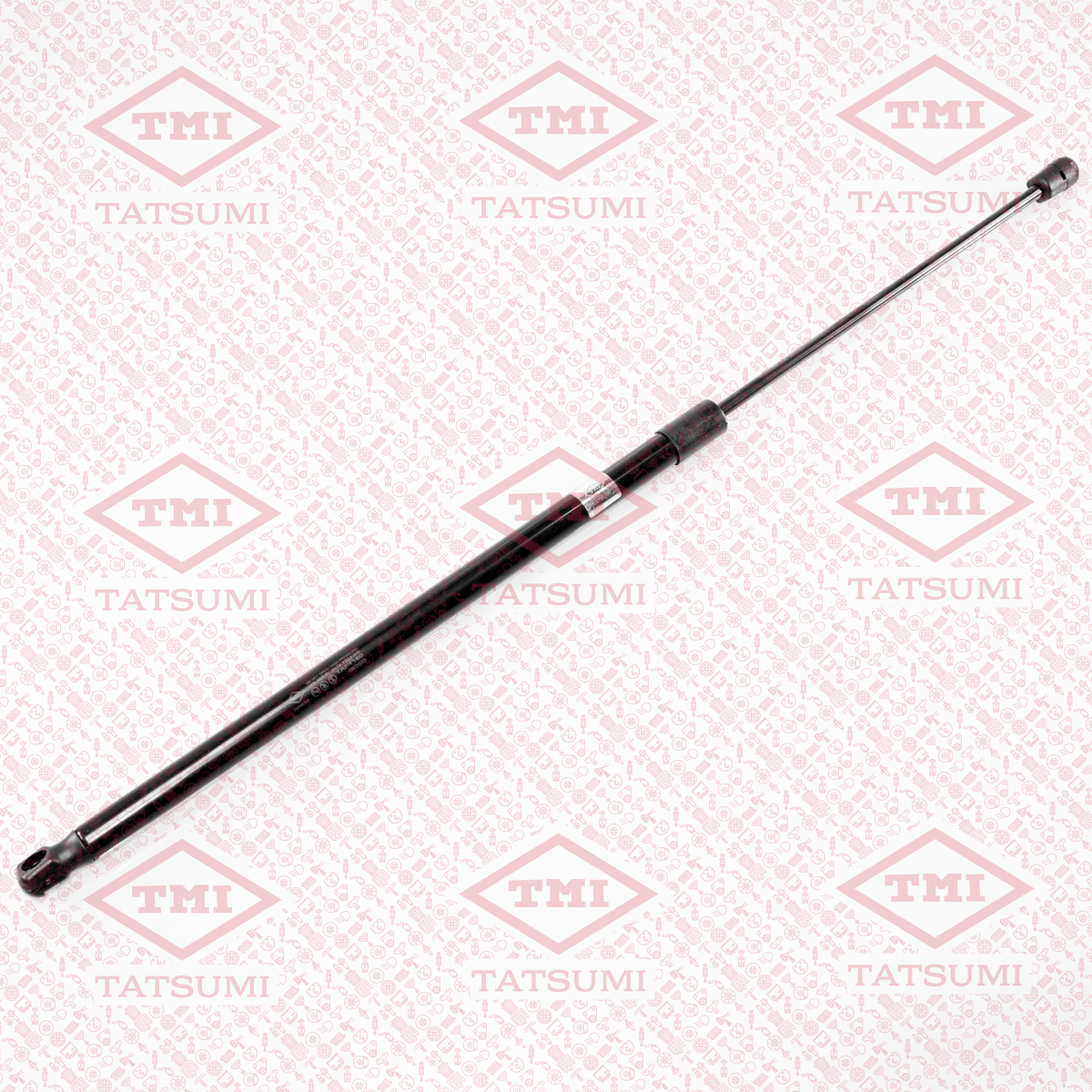 Trunk shock absorber