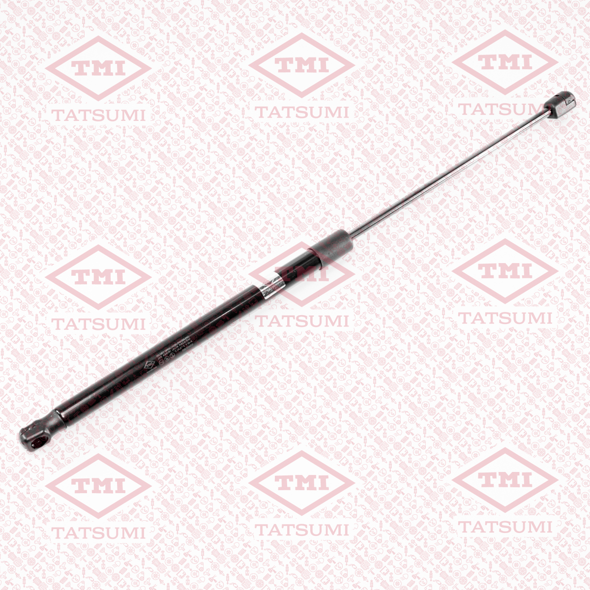 Trunk shock absorber