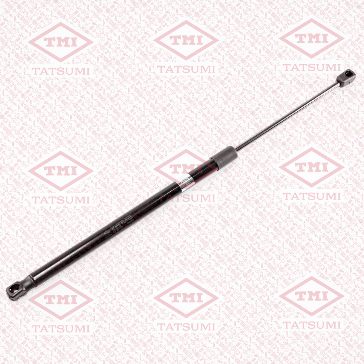 Trunk shock absorber