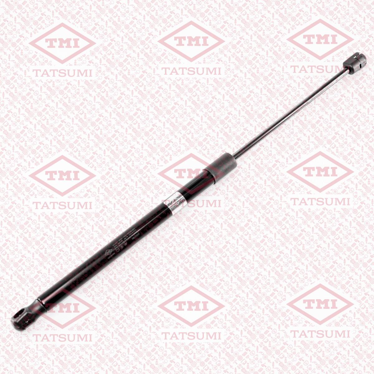 Trunk shock absorber