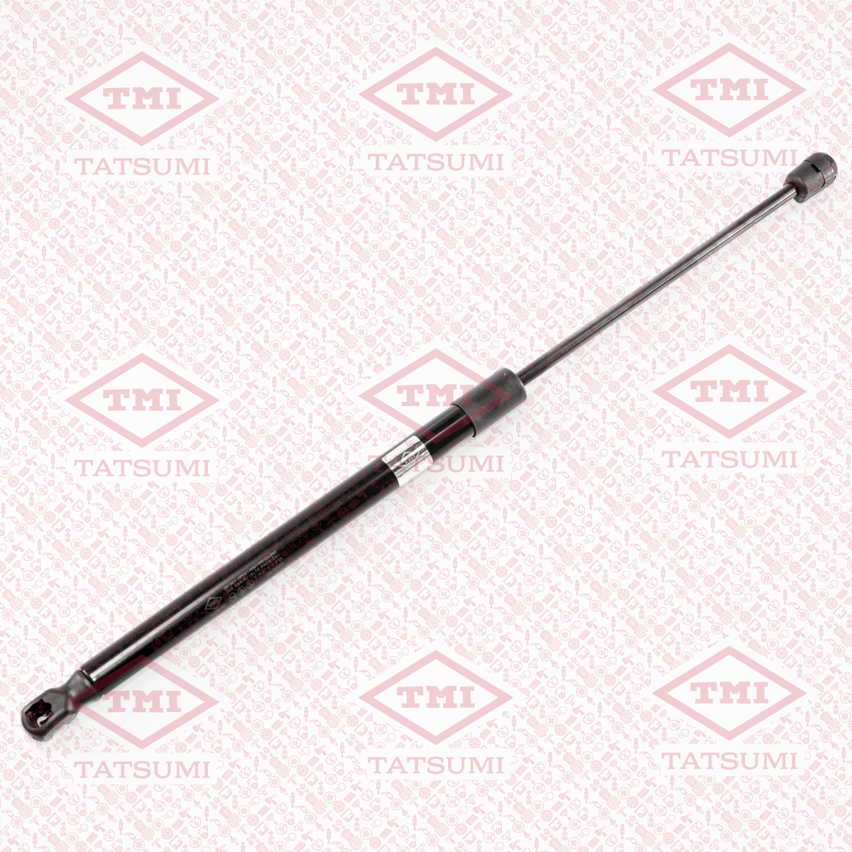 Trunk shock absorber